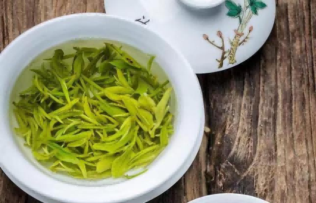 茶园图片